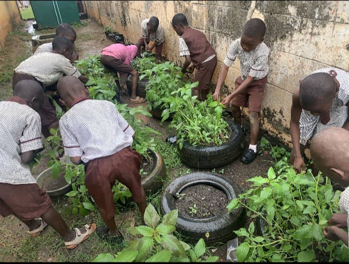 All Saints Anglican Primary School, Akitori, Ijebu-igbo