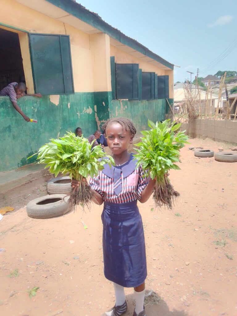 Baptist Day Nursery and Primary School, Lukosi