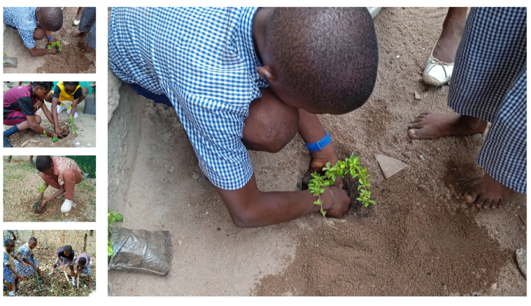 Mary Ameh and the STEM Garden Initiative
