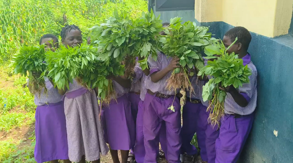 St. Stephen's Anglican Primary School, Nlemo
