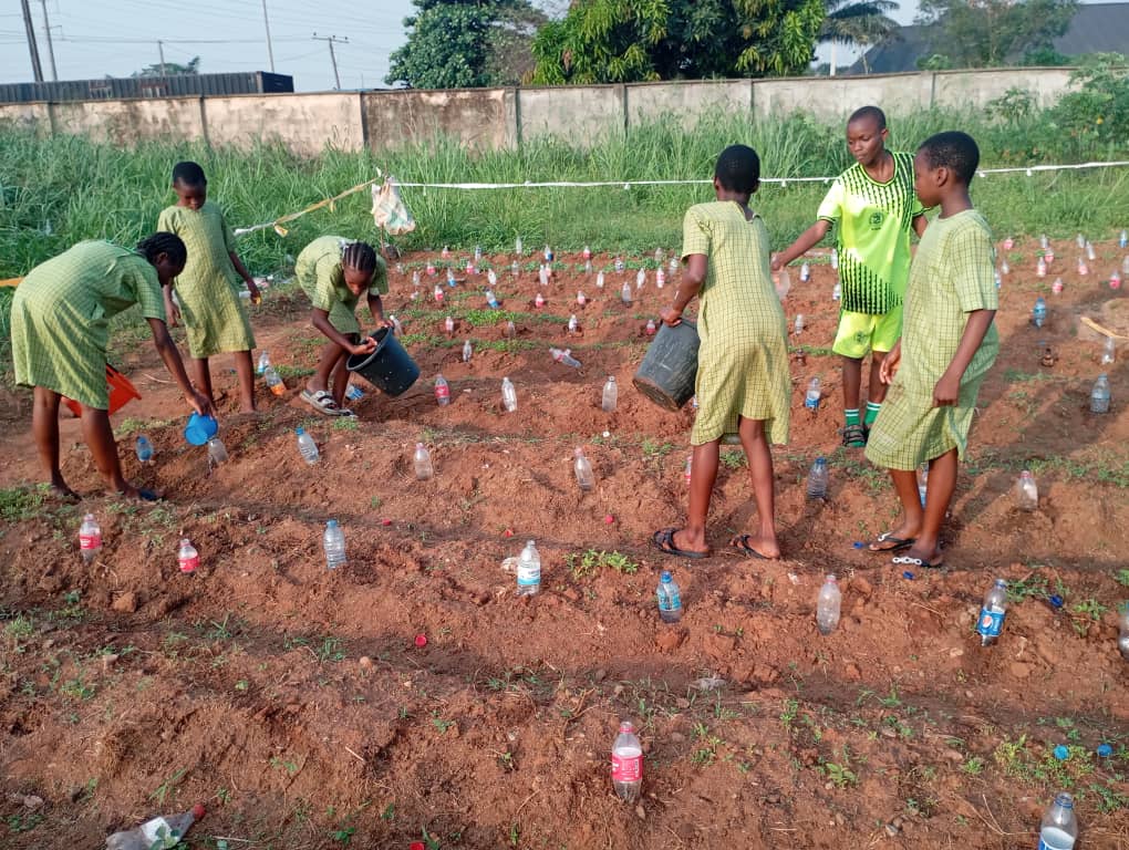 Emeritus Prof. T.O. Ogunlesi Model Secondary School, Likosi, Sagamu LGA