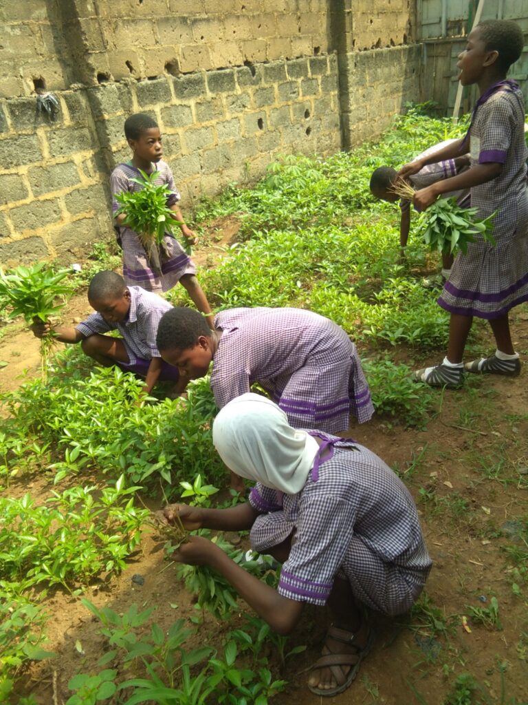 St. John Anglican Primary School 3 Ogijo